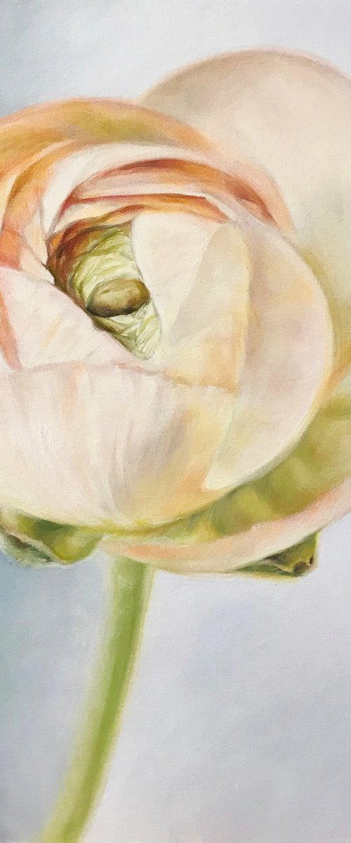 Oil painting with flower "Buttercup" 30*40 cm by Irina Ivlieva