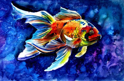 Goldfish by Kovács Anna Brigitta