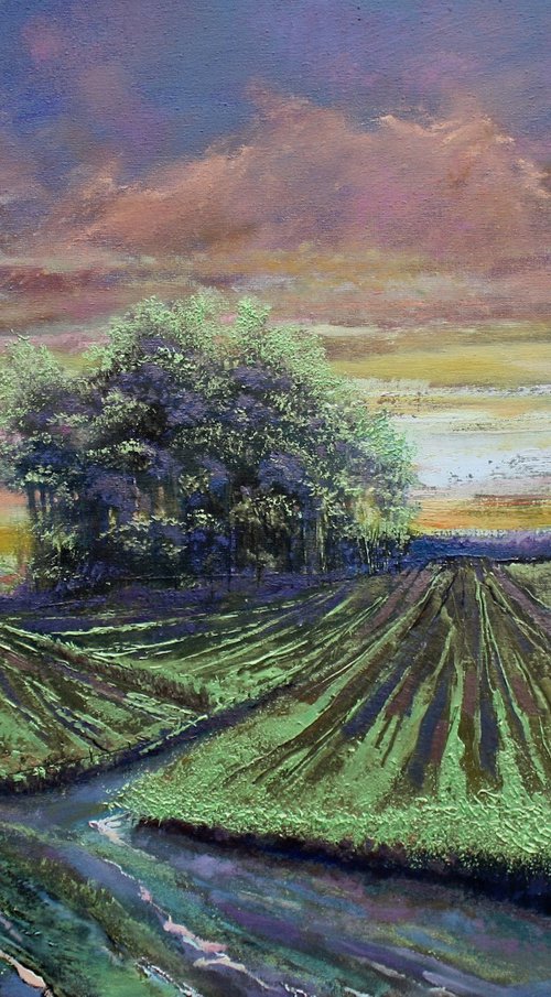 Greenfields Spring Sunrise by Simon Jones