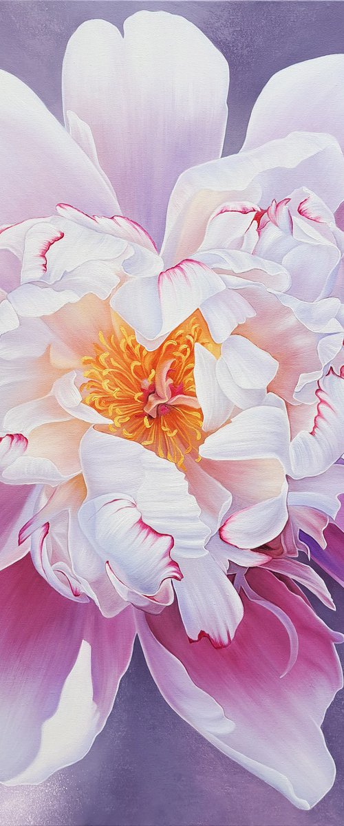 "Pink beauty", realistic pink peony painting, floral art by Anna Steshenko