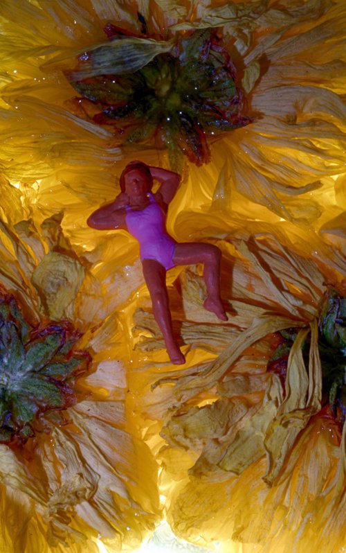 Flower Tea Bathing by Marc Ehrenbold