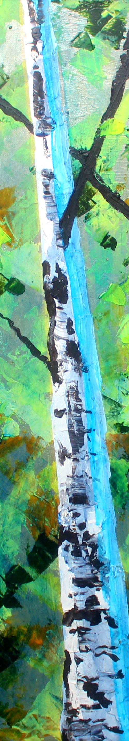 Betula II by Paul J Best