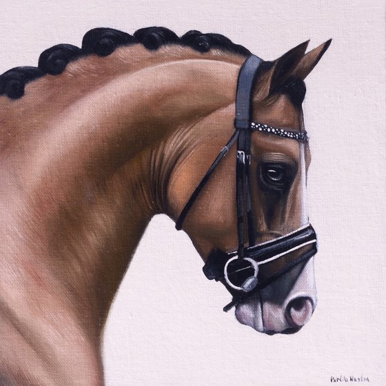 Horse Portrait 12