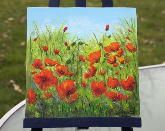 Poppy field 2