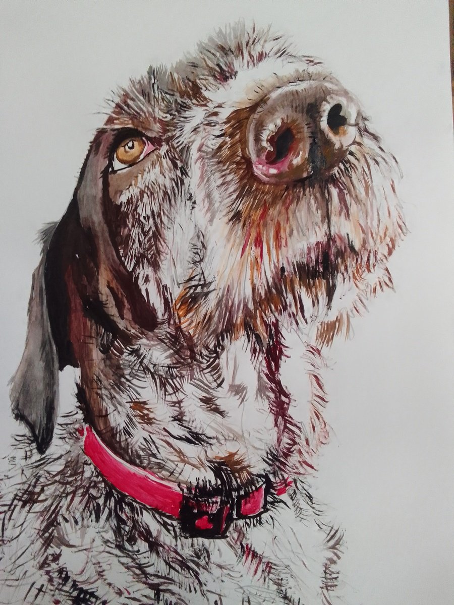 Photorealistic Animal Acrylic Painting By Soso Kumsiashvili, 24 X 33", German Wirehaired Pointer, Original Artwork