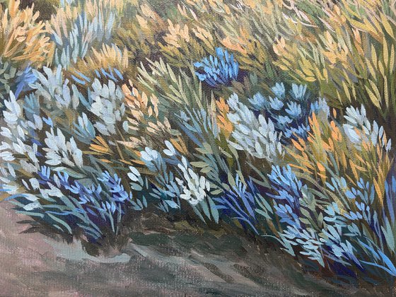 Evening in the Dunes III