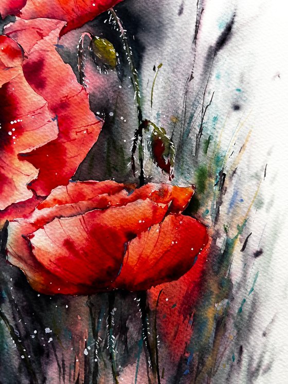 Red poppies Watercolor Flowers