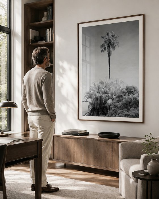 Oasis