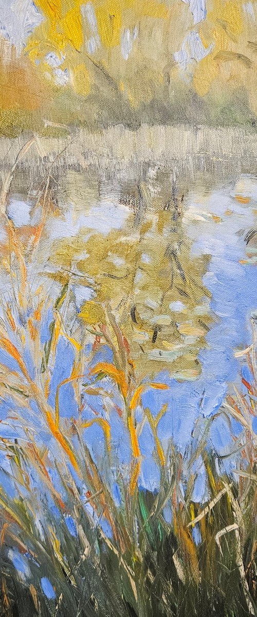 Autumn Pond by Vera Stein