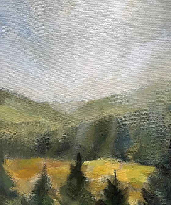 Forest at Sunrise