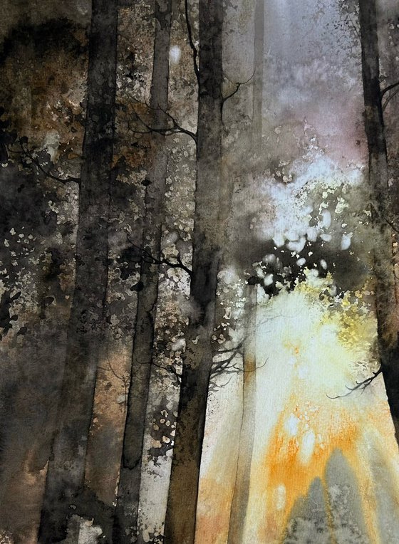 warm forest
