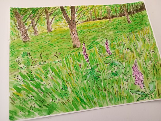 Foxgloves Forest - 7.9 x 5.9