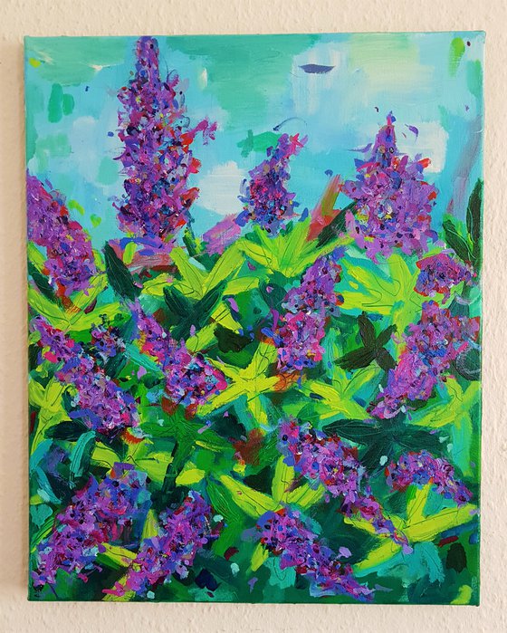 Buddleia