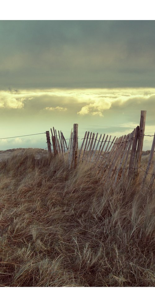 West Wittering January by David Baker