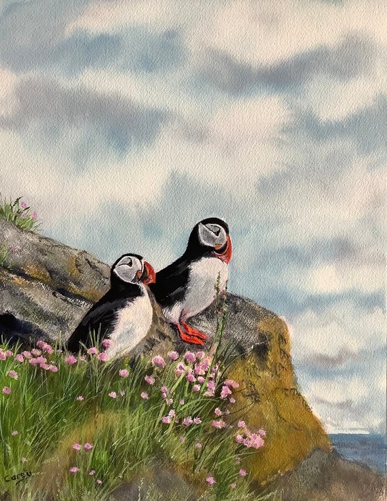 Puffins Amongst sea thrift #2