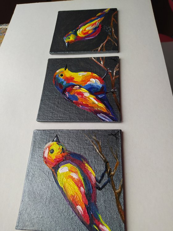 Triptych - birds, birds in love, oil painting, colored birds, love, for lovers, small birds, animals