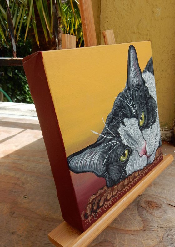 Tuxedo Black White Pet Cat Original Art Painting-8 x 8 Inches Deep Set Stretched Canvas-Carla Smale