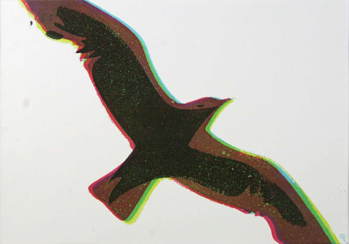 Refracted Gull - Signed, Mounted and Backed by Dawn Rossiter