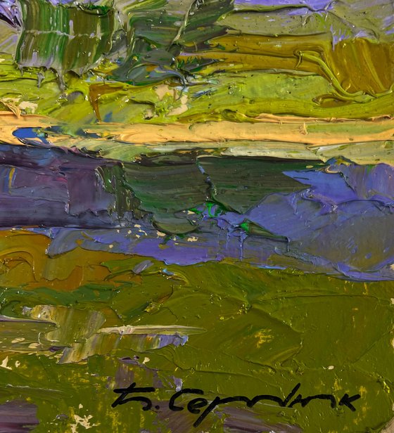 Sunny Day Under a Cloudy Sky