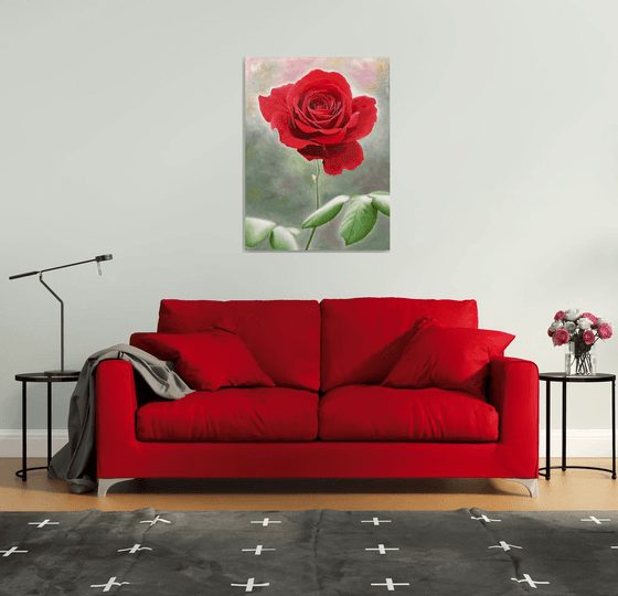 Rosa Amoris. Red rose