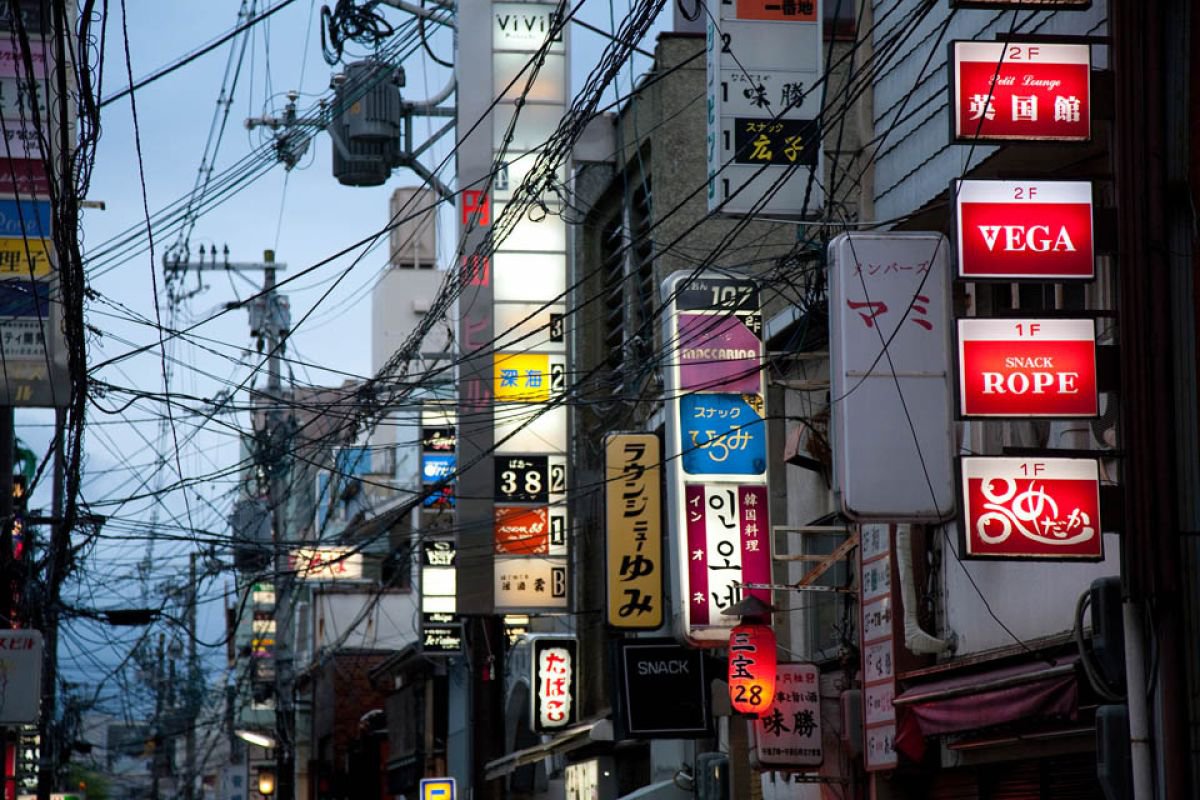 Kyoto Wires by Paula Smith