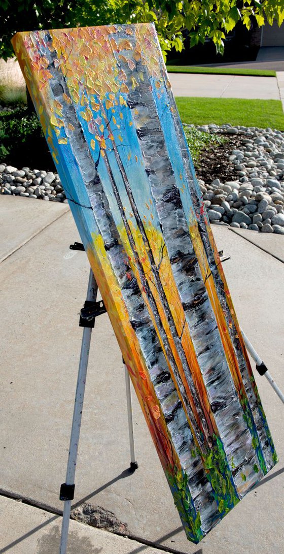 Colorado Aspen 1