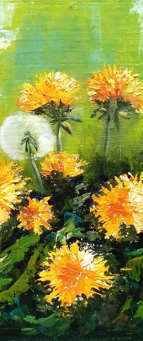Blooming dandelions by Liubov Samoilova