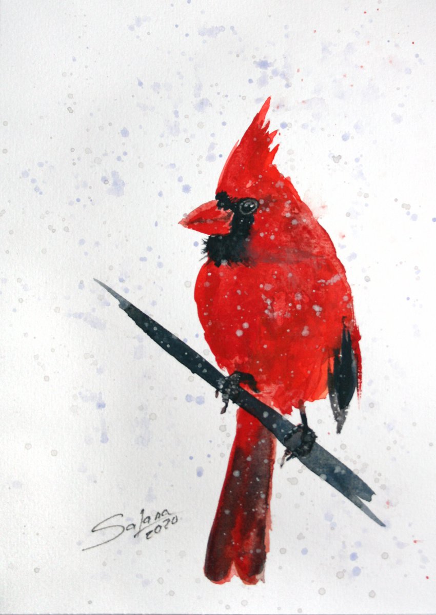 Cardinal II - Bird portrait /  ORIGINAL PAINTING by Salana Art Gallery