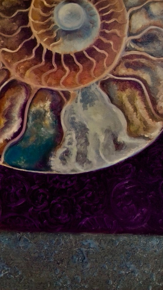 Ammonite Magenta