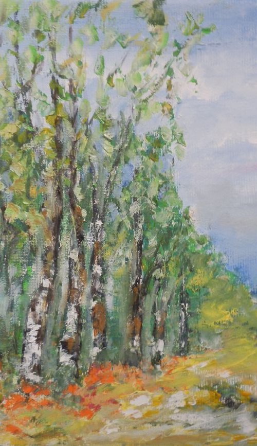 Summer landscape with birches by Maria Karalyos