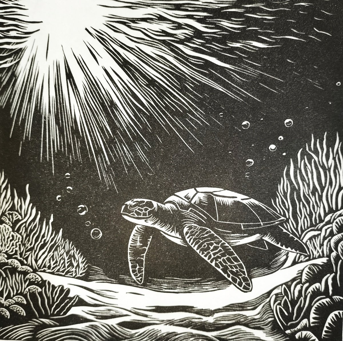 Reef Explorer by TARA SLATER