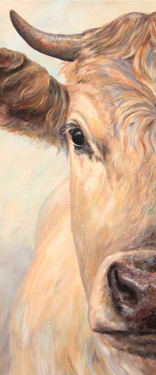 Honey by Ruth  Aslett