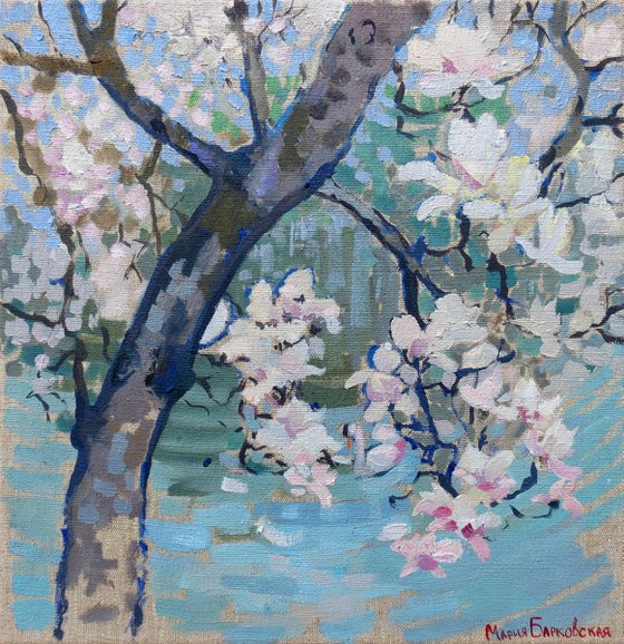 White magnolia in bloom Painting