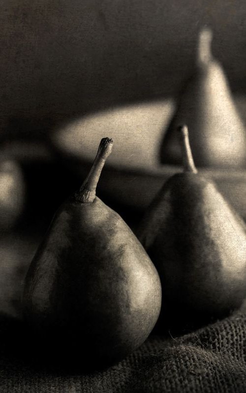 Four Pears by Robert Tolchin