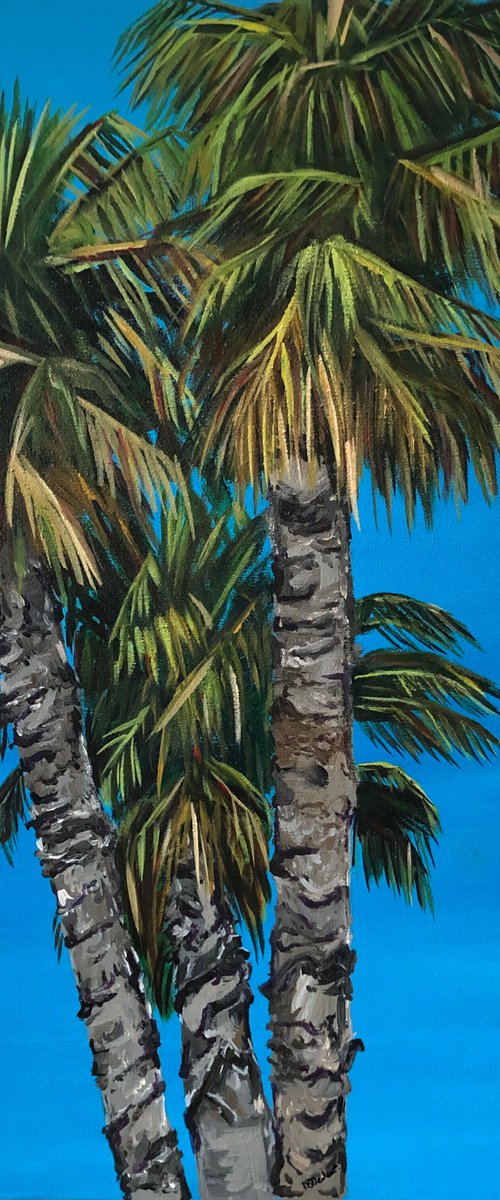 Palm Trees by Kirstie Dedman