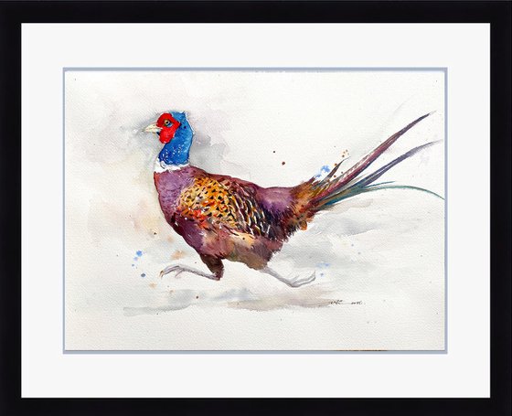 Rustle and Run_Pheasant