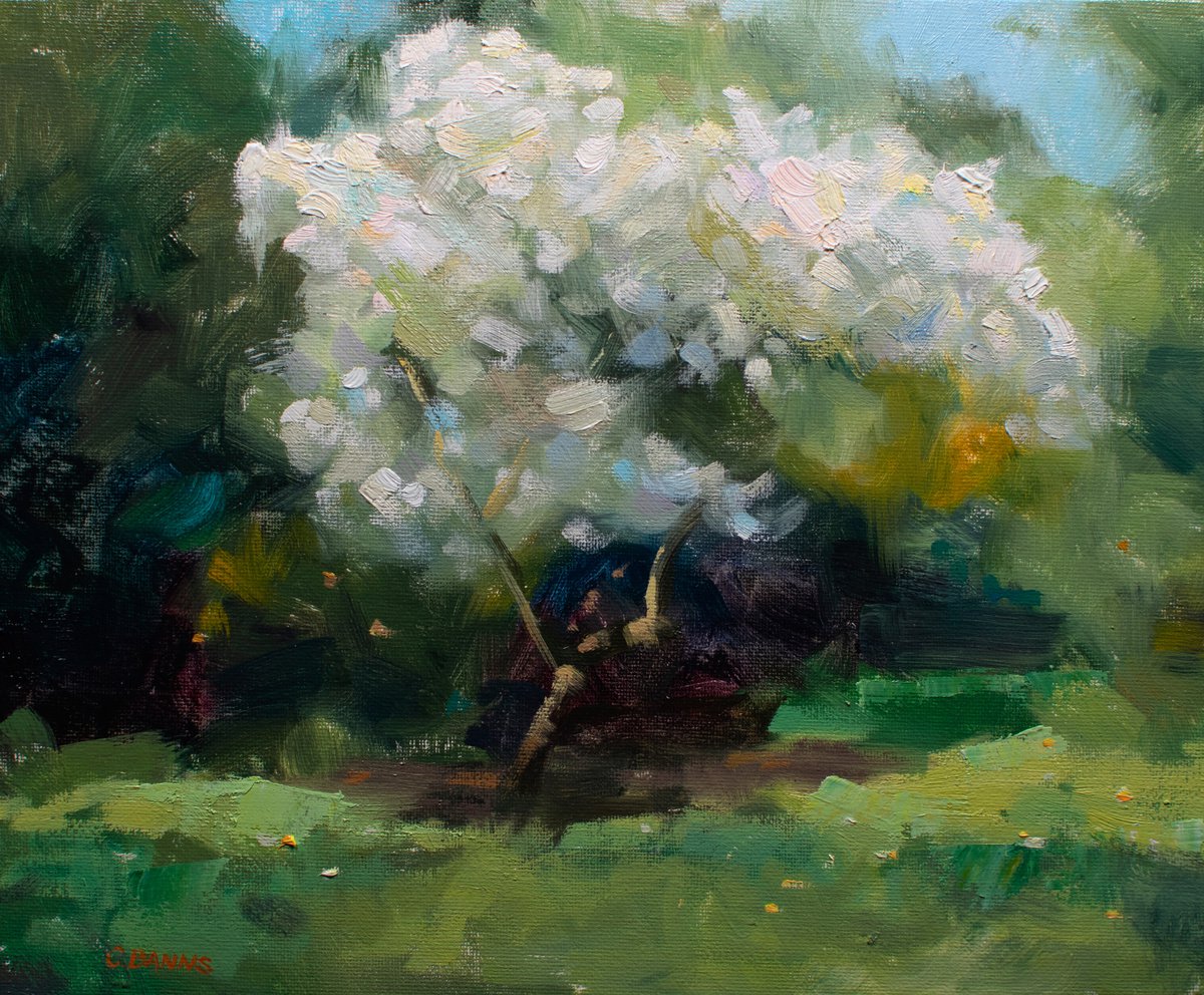 Impressionist oil painting Flowering Trees in Paris Park by Gav Banns