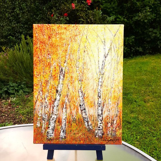 Autumnal birch trees