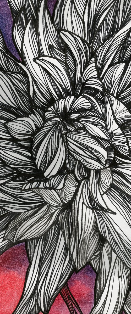 Pink Dahlia by Olena Kosenko