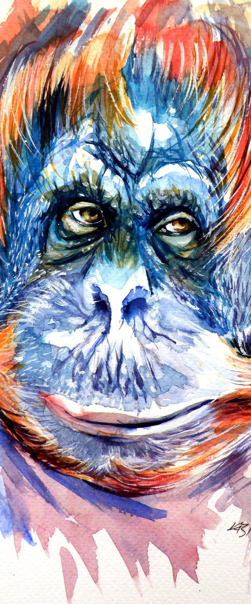 Orangutan by Kovács Anna Brigitta