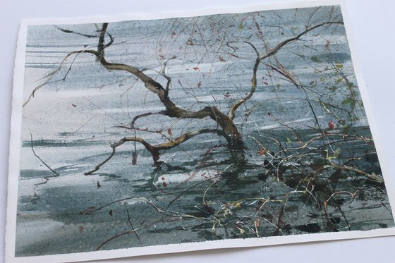 Silver Light on Latumer See