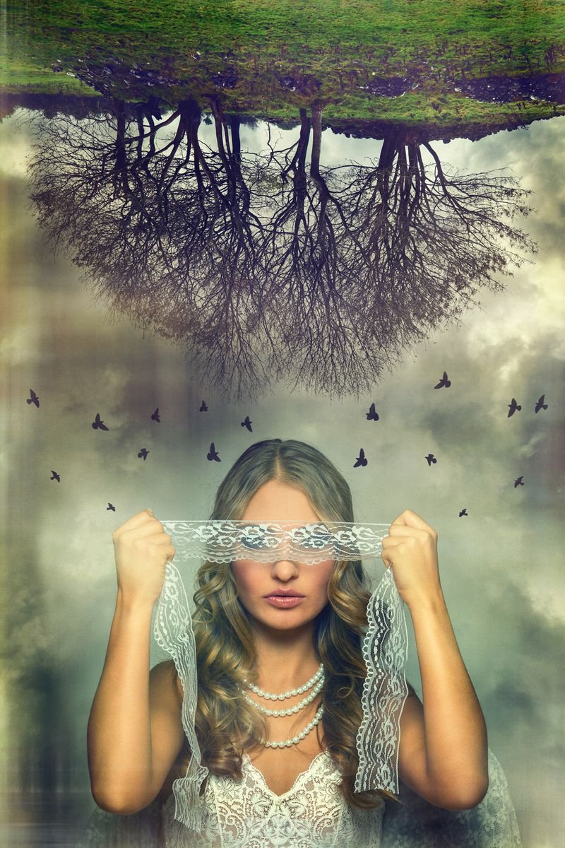 Peter Zelei | Original Photograph | Dreaming About Birds | 70 X 100Cm | Artwork For Sale On Artfinder