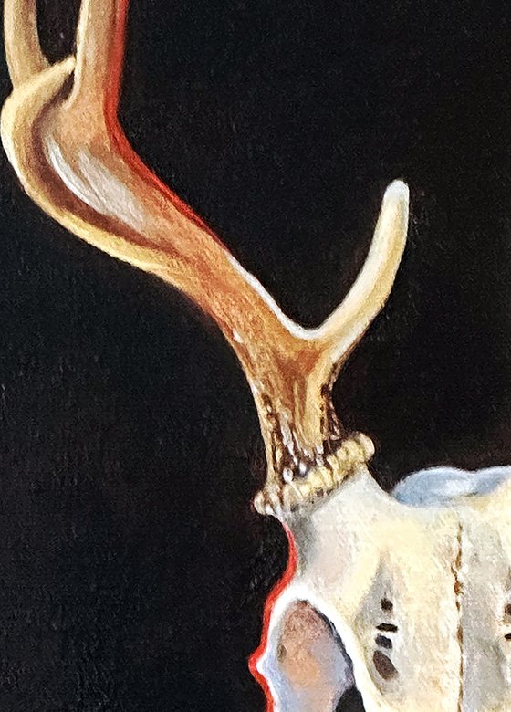 Soul Of The Deer