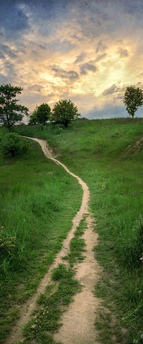 Walkway by the summer evening. by Valerix