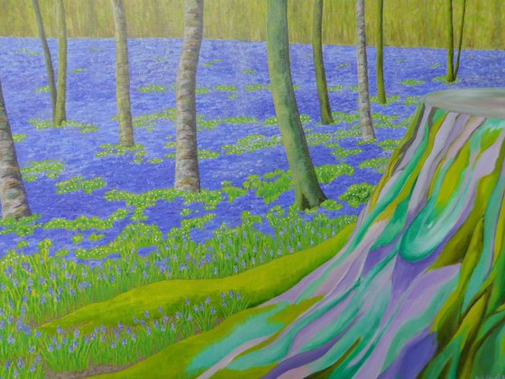 The Bluebell Wood