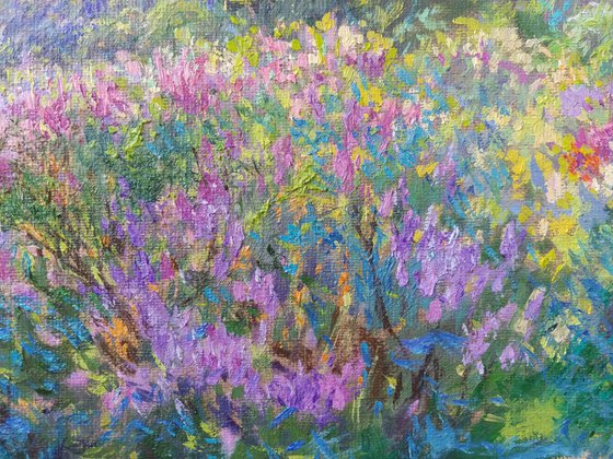 Buzkovy garden on the skhila of the Dnieper