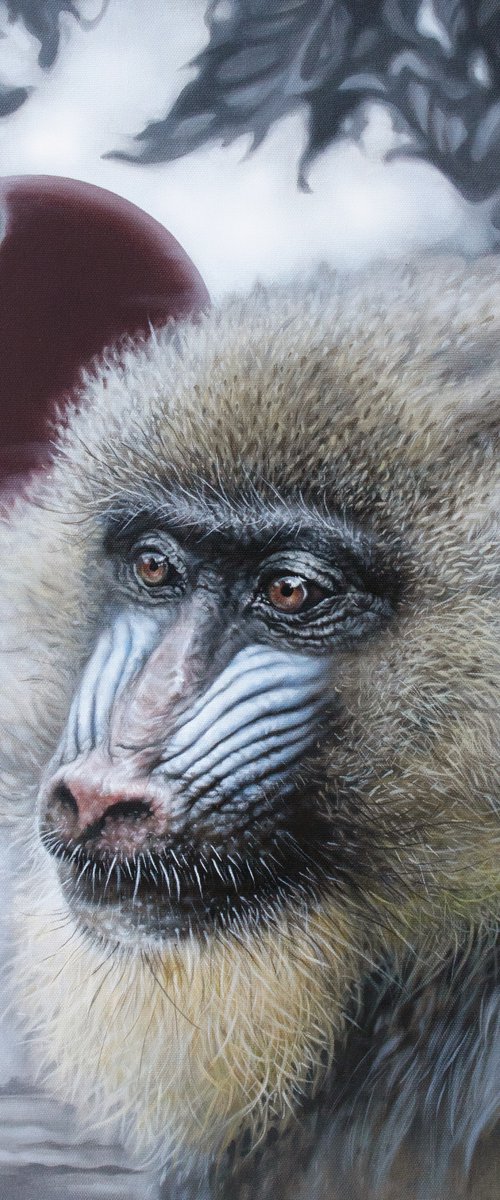 The Rainforest Sphinx / Mandrill monkey by Yuko Montgomery
