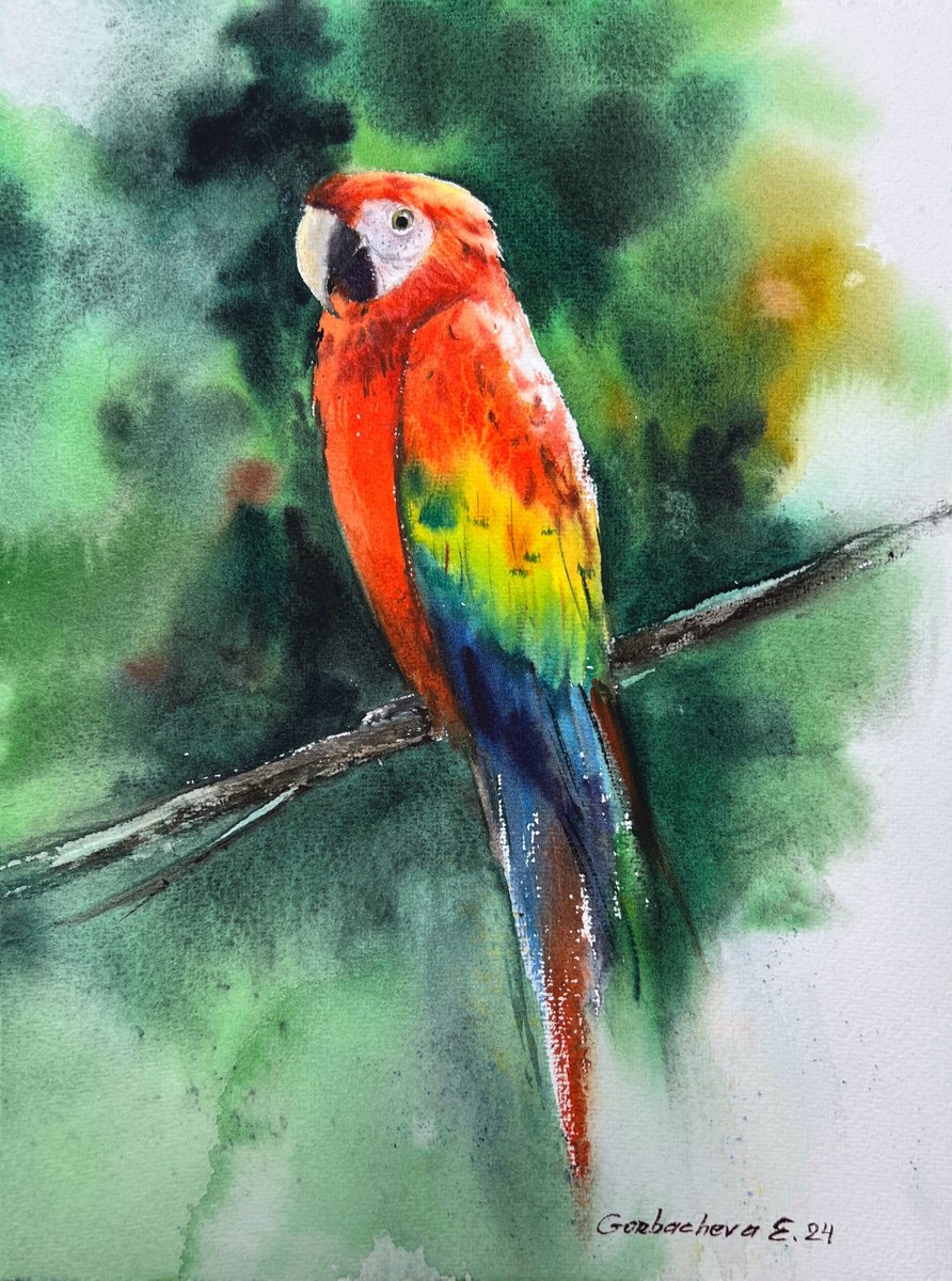 Impressionistic Animal Watercolour By Eugenia Gorbacheva, 9 X 12, Ara Parrot, Original Artwork