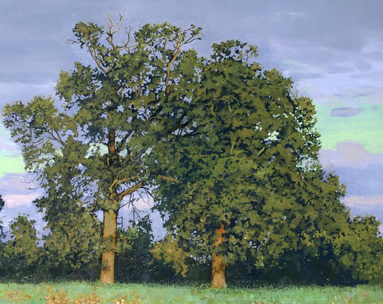 Oaks-Trees in Haddenham