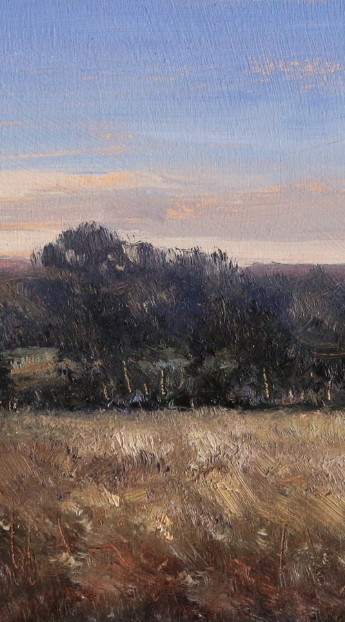 Field in Winter near Mison by Pascal Giroud